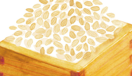 穀物と加工食品のイラスト（画像4点）