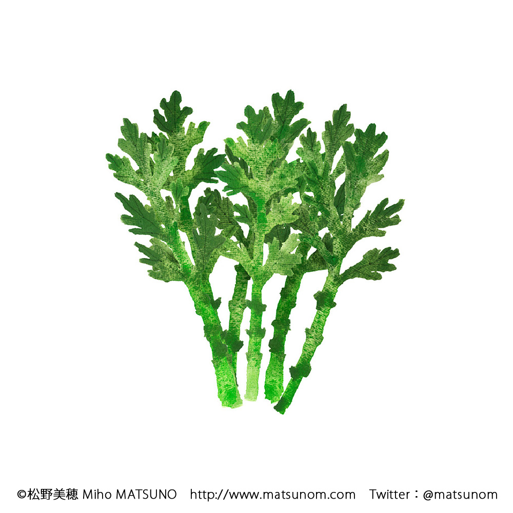 野菜のイラスト 画像28点 Miho Matsuno Illustration Works