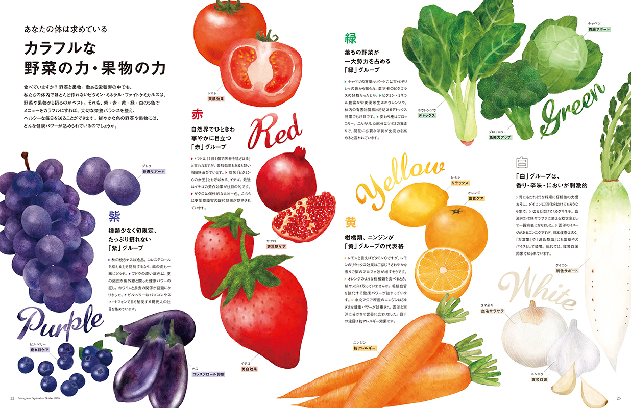 カラフルな野菜とフルーツ